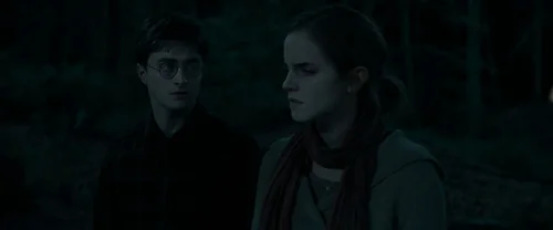 Still frame 62 from Harry Potter and the Deathly Hallows: Part 1 (2010) directed by David Yates