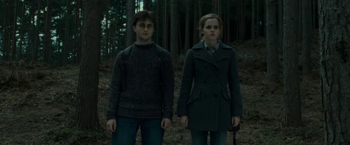 Still frame 69 from Harry Potter and the Deathly Hallows: Part 1 (2010) directed by David Yates
