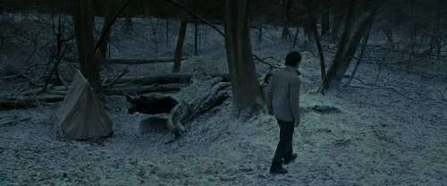 Still frame 83 from Harry Potter and the Deathly Hallows: Part 1 (2010) directed by David Yates