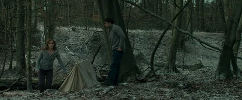 Still frame 91 from Harry Potter and the Deathly Hallows: Part 1 (2010) directed by David Yates