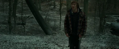 Still frame 90 from Harry Potter and the Deathly Hallows: Part 1 (2010) directed by David Yates