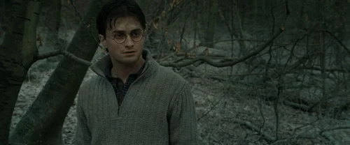 Still frame 93 from Harry Potter and the Deathly Hallows: Part 1 (2010) directed by David Yates