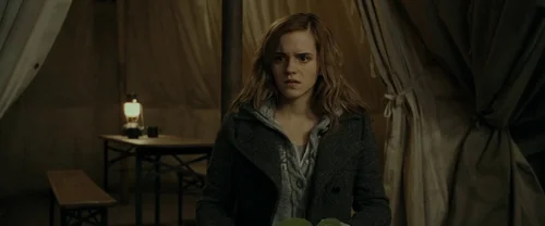 Still frame 94 from Harry Potter and the Deathly Hallows: Part 1 (2010) directed by David Yates