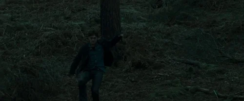 Still frame 106 from Harry Potter and the Deathly Hallows: Part 1 (2010) directed by David Yates