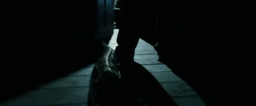 Still frame 3 from Harry Potter and the Goblet of Fire (2005) directed by Mike Newell