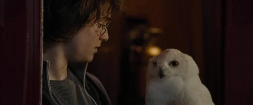 Still frame 11 from Harry Potter and the Goblet of Fire (2005) directed by Mike Newell