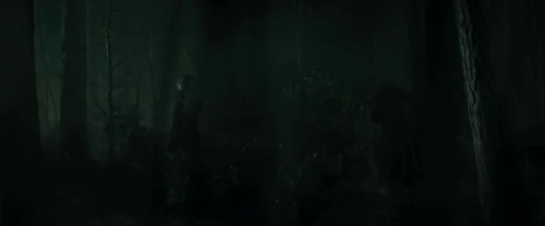 Still frame 40 from Harry Potter and the Goblet of Fire (2005) directed by Mike Newell