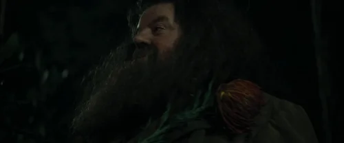 Still frame 41 from Harry Potter and the Goblet of Fire (2005) directed by Mike Newell