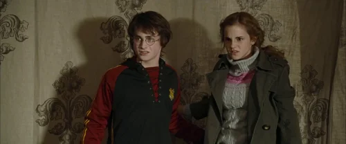 Still frame 46 from Harry Potter and the Goblet of Fire (2005) directed by Mike Newell