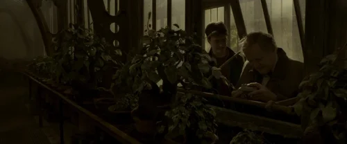 Still frame 91 from Harry Potter and the Half-Blood Prince (2009) directed by David Yates