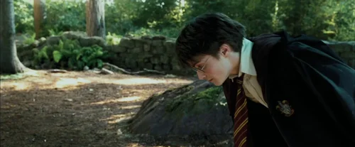 Still frame 31 from Harry Potter and the Prisoner of Azkaban (2004) directed by Chris Columbus