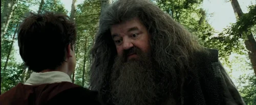 Still frame 33 from Harry Potter and the Prisoner of Azkaban (2004) directed by Chris Columbus