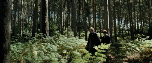 Still frame 46 from Harry Potter and the Prisoner of Azkaban (2004) directed by Chris Columbus
