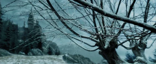 Still frame 58 from Harry Potter and the Prisoner of Azkaban (2004) directed by Chris Columbus