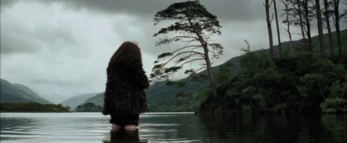 Still frame 61 from Harry Potter and the Prisoner of Azkaban (2004) directed by Chris Columbus