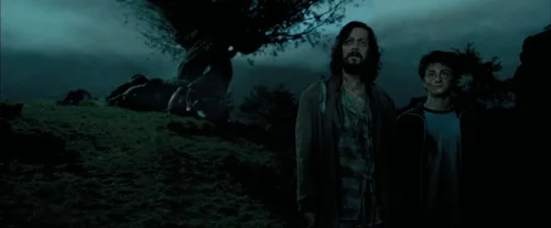 Still frame 81 from Harry Potter and the Prisoner of Azkaban (2004) directed by Chris Columbus