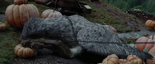 Still frame 96 from Harry Potter and the Prisoner of Azkaban (2004) directed by Chris Columbus