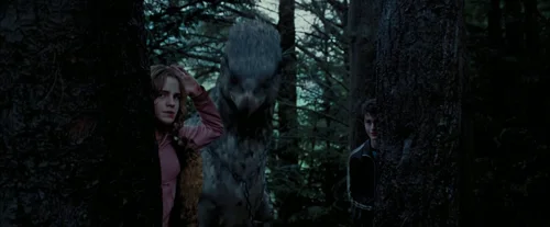 Still frame 97 from Harry Potter and the Prisoner of Azkaban (2004) directed by Chris Columbus