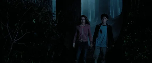 Still frame 98 from Harry Potter and the Prisoner of Azkaban (2004) directed by Chris Columbus