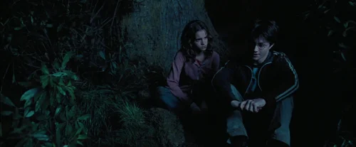 Still frame 100 from Harry Potter and the Prisoner of Azkaban (2004) directed by Chris Columbus
