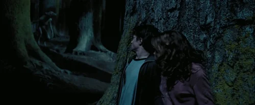 Still frame 103 from Harry Potter and the Prisoner of Azkaban (2004) directed by Chris Columbus