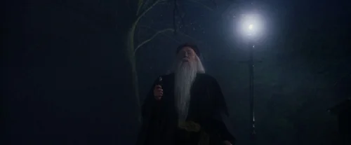 Still frame 1 from Harry Potter and the Sorcerer's Stone (2001) directed by Chris Columbus