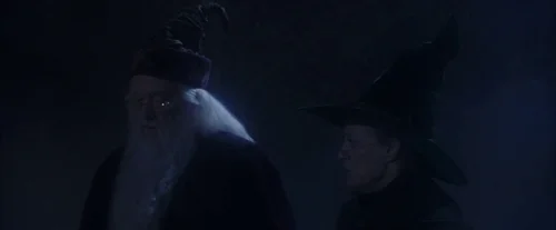 Still frame 3 from Harry Potter and the Sorcerer's Stone (2001) directed by Chris Columbus