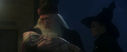 Still frame 2 from Harry Potter and the Sorcerer's Stone (2001) directed by Chris Columbus