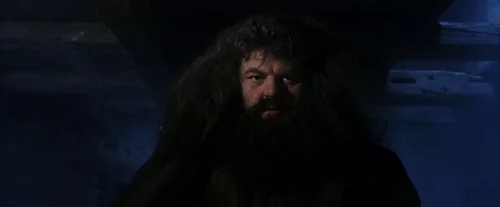Still frame 16 from Harry Potter and the Sorcerer's Stone (2001) directed by Chris Columbus