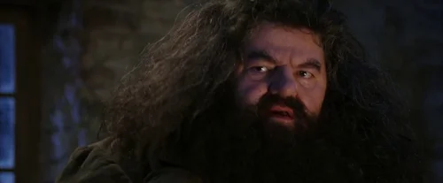 Still frame 20 from Harry Potter and the Sorcerer's Stone (2001) directed by Chris Columbus