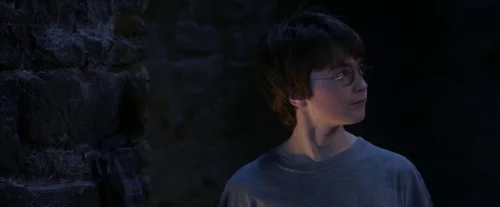 Still frame 22 from Harry Potter and the Sorcerer's Stone (2001) directed by Chris Columbus