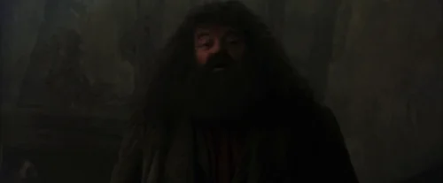 Still frame 23 from Harry Potter and the Sorcerer's Stone (2001) directed by Chris Columbus