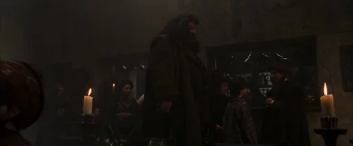 Still frame 21 from Harry Potter and the Sorcerer's Stone (2001) directed by Chris Columbus