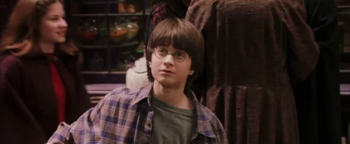Still frame 32 from Harry Potter and the Sorcerer's Stone (2001) directed by Chris Columbus