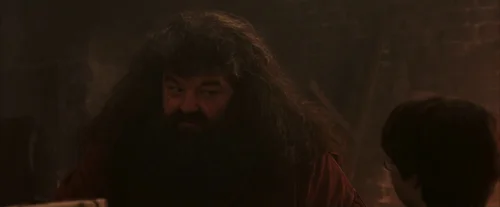 Still frame 34 from Harry Potter and the Sorcerer's Stone (2001) directed by Chris Columbus