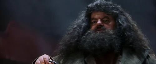 Still frame 47 from Harry Potter and the Sorcerer's Stone (2001) directed by Chris Columbus
