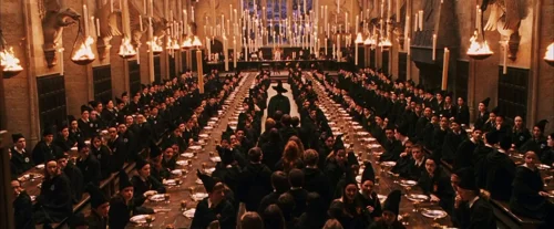 Still frame 52 from Harry Potter and the Sorcerer's Stone (2001) directed by Chris Columbus