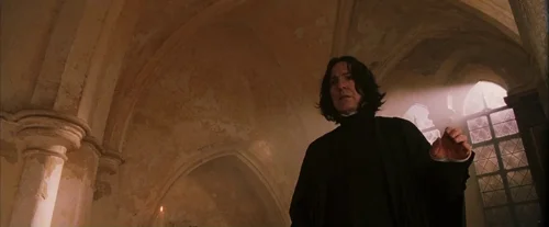 Still frame 65 from Harry Potter and the Sorcerer's Stone (2001) directed by Chris Columbus