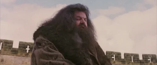 Still frame 100 from Harry Potter and the Sorcerer's Stone (2001) directed by Chris Columbus