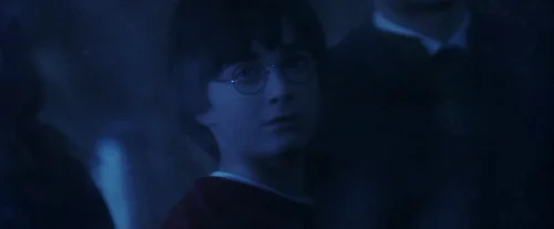 Still frame 110 from Harry Potter and the Sorcerer's Stone (2001) directed by Chris Columbus