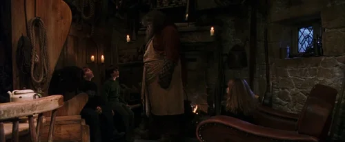 Still frame 119 from Harry Potter and the Sorcerer's Stone (2001) directed by Chris Columbus