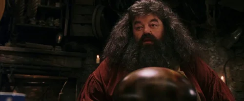 Still frame 121 from Harry Potter and the Sorcerer's Stone (2001) directed by Chris Columbus