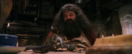Still frame 120 from Harry Potter and the Sorcerer's Stone (2001) directed by Chris Columbus