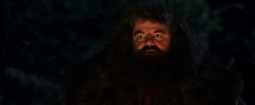 Still frame 125 from Harry Potter and the Sorcerer's Stone (2001) directed by Chris Columbus