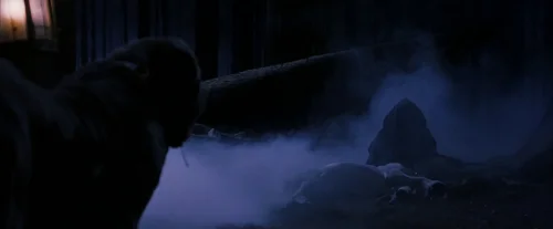 Still frame 126 from Harry Potter and the Sorcerer's Stone (2001) directed by Chris Columbus