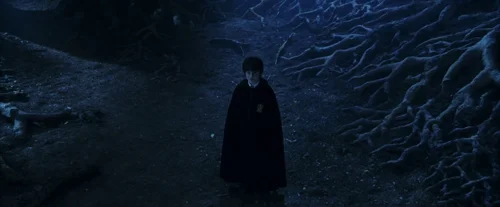 Still frame 133 from Harry Potter and the Sorcerer's Stone (2001) directed by Chris Columbus