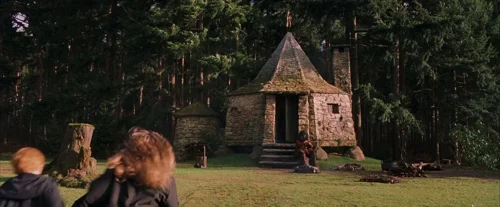Still frame 130 from Harry Potter and the Sorcerer's Stone (2001) directed by Chris Columbus