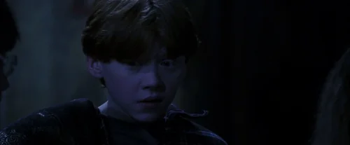 Still frame 137 from Harry Potter and the Sorcerer's Stone (2001) directed by Chris Columbus