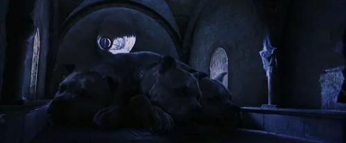 Still frame 140 from Harry Potter and the Sorcerer's Stone (2001) directed by Chris Columbus