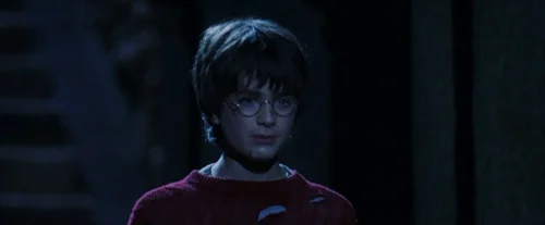 Still frame 151 from Harry Potter and the Sorcerer's Stone (2001) directed by Chris Columbus